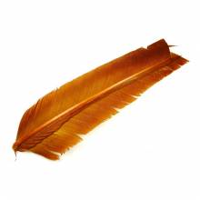 PLUMA DE PAVO TURKEY BIOTS QUILLS