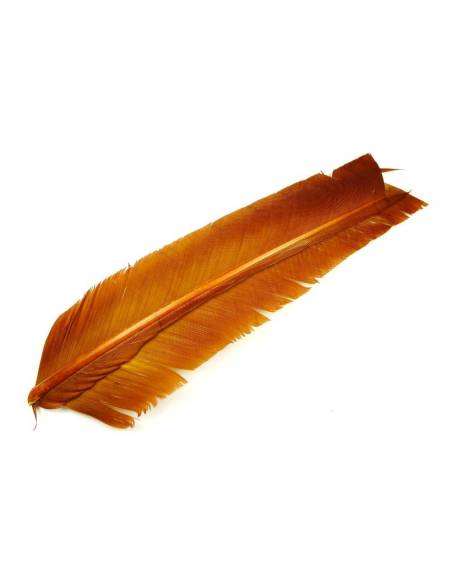 PLUMA DE PAVO TURKEY BIOTS QUILLS