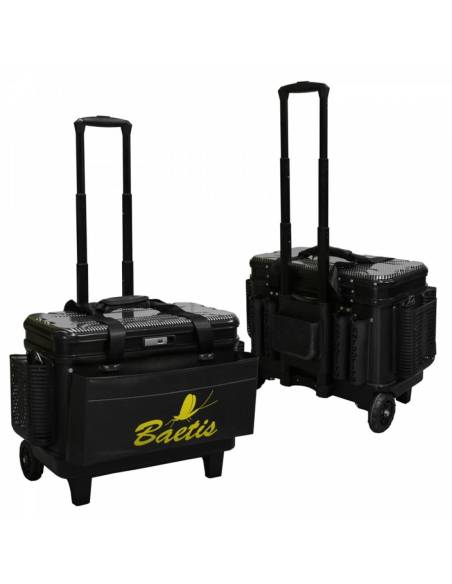 CAJA CARRO BAETIS ESPECIAL LAGO