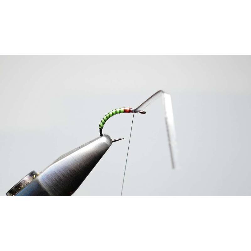 Perfect Quills Semperfli
