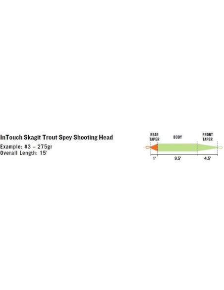 Línea RIO Skagit Trout MAX & SPEY RIO LINEAS