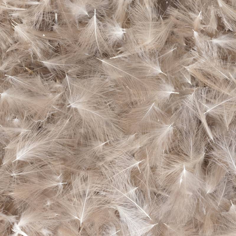 CDC BAETIS Salvaje BAETIS PLUMAS Y CDC