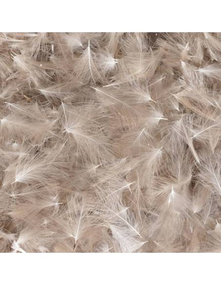 CDC BAETIS Salvaje BAETIS PLUMAS Y CDC