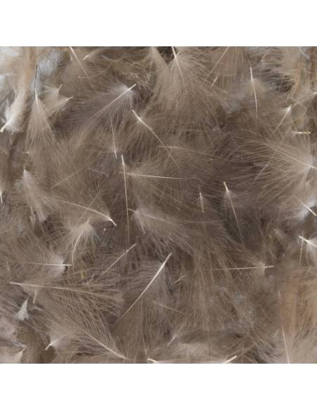 CDC BAETIS Salvaje BAETIS PLUMAS Y CDC
