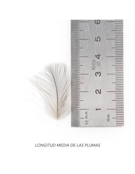 CDC BAETIS Salvaje BAETIS PLUMAS Y CDC