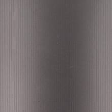 METALIC FILM BAETIS 2