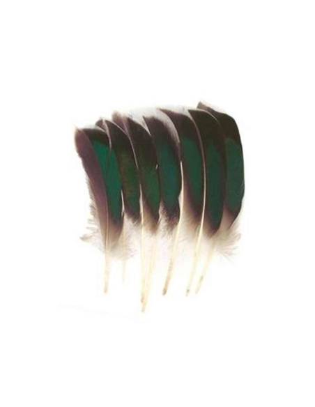 M. MCGINTY QUILL
