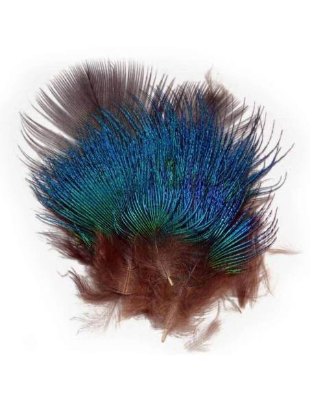 M. PAVO REAL PLUMAS AZUL