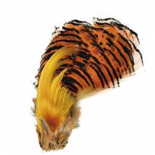 M. CRESTA FAISAN DORADO G-1 BAETIS PLUMAS Y CDC