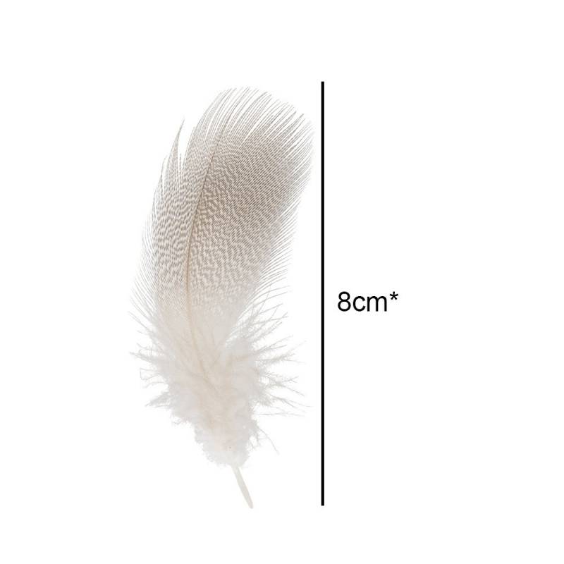 M. BRONZE PATO REAL