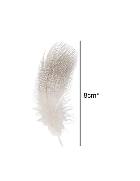 M. BRONZE PATO REAL
