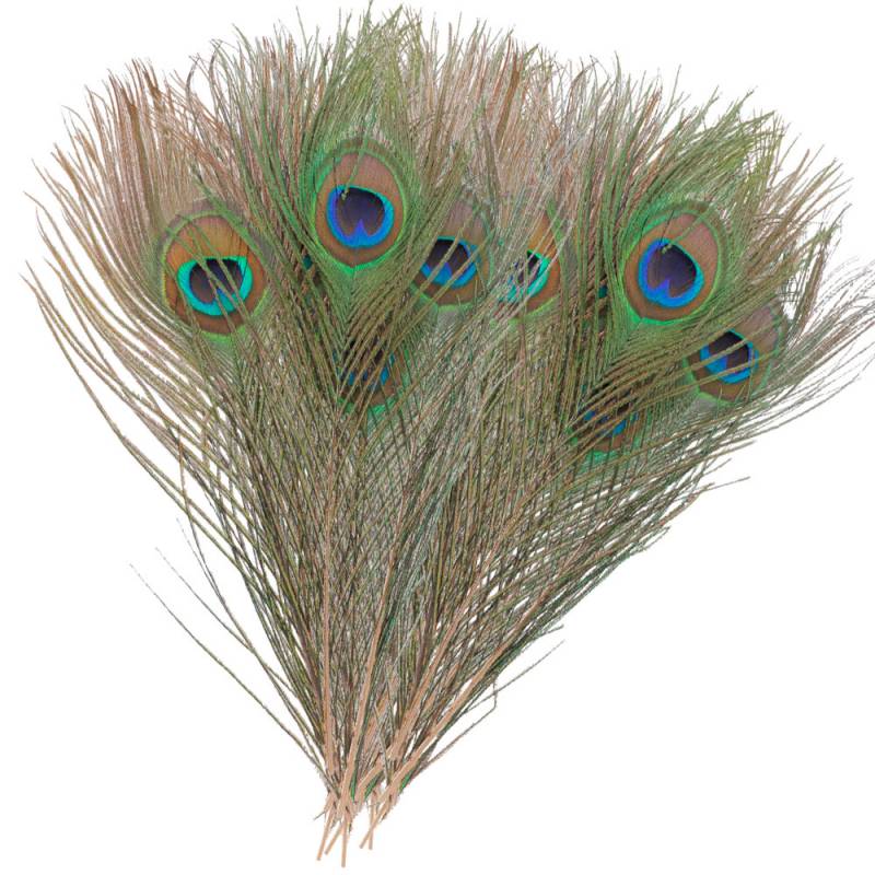 OJOS DE PAVO REAL VENIARD