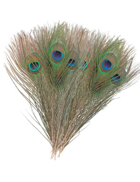 OJOS DE PAVO REAL VENIARD