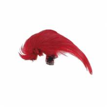 GOLDEN FAISAN CREST ONLY BAETIS PLUMAS Y CDC