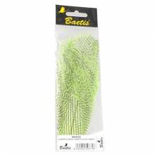 AVESTRUZ GRIZZLY BAETIS CORTA BAETIS PLUMAS Y CDC 2