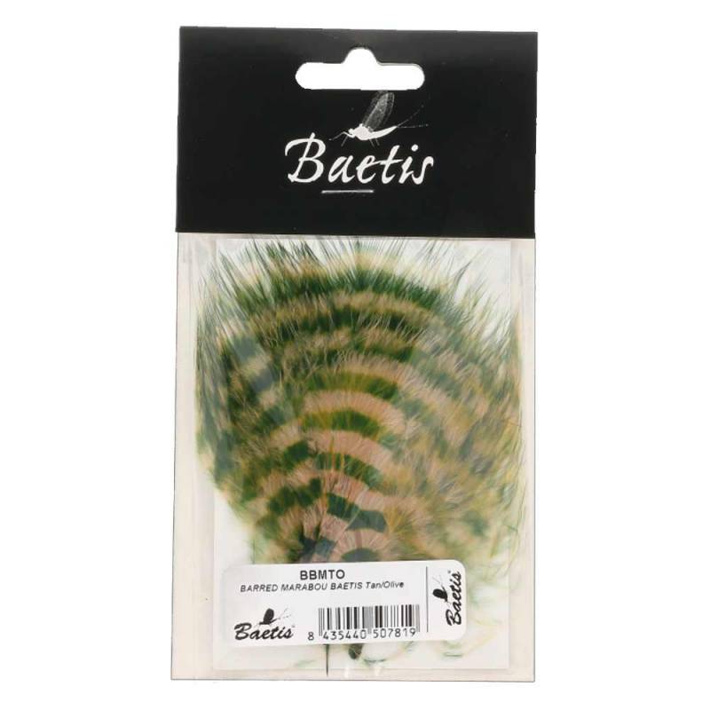 BARRED MARABOU BAETIS BAETIS PLUMAS Y CDC
