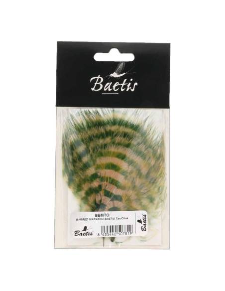 BARRED MARABOU BAETIS BAETIS PLUMAS Y CDC