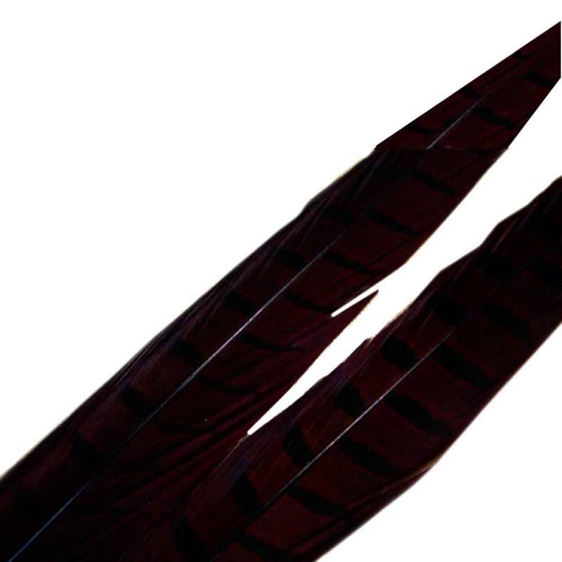 PLUMA DE FAISAN 11 NEGRA