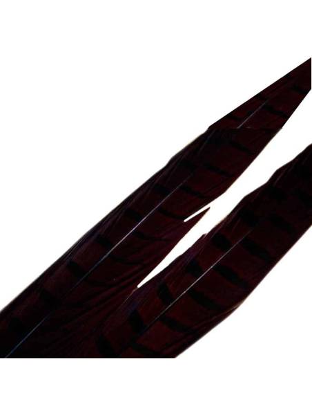 PLUMA DE FAISAN 11 NEGRA
