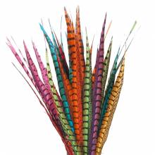 COLA DE FAISAN MACHO BAETIS PLUMAS Y CDC