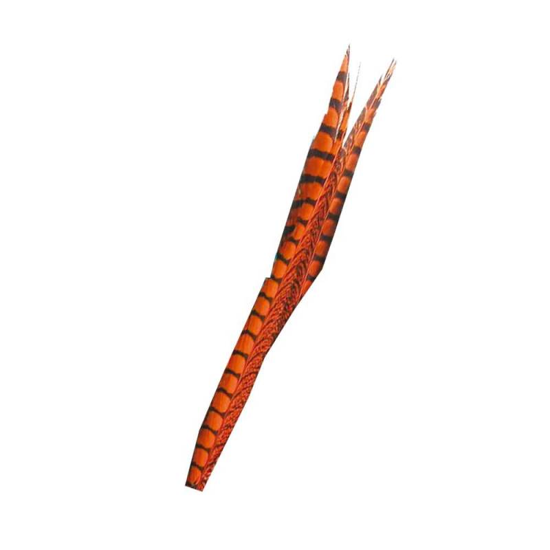COLA DE FAISAN MACHO BAETIS PLUMAS Y CDC