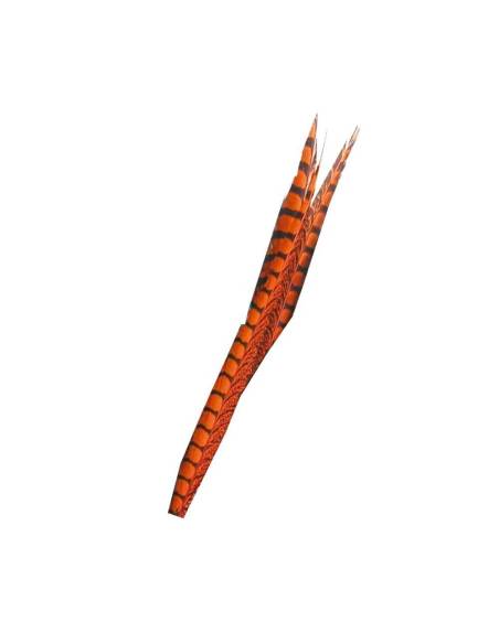 COLA DE FAISAN MACHO BAETIS PLUMAS Y CDC