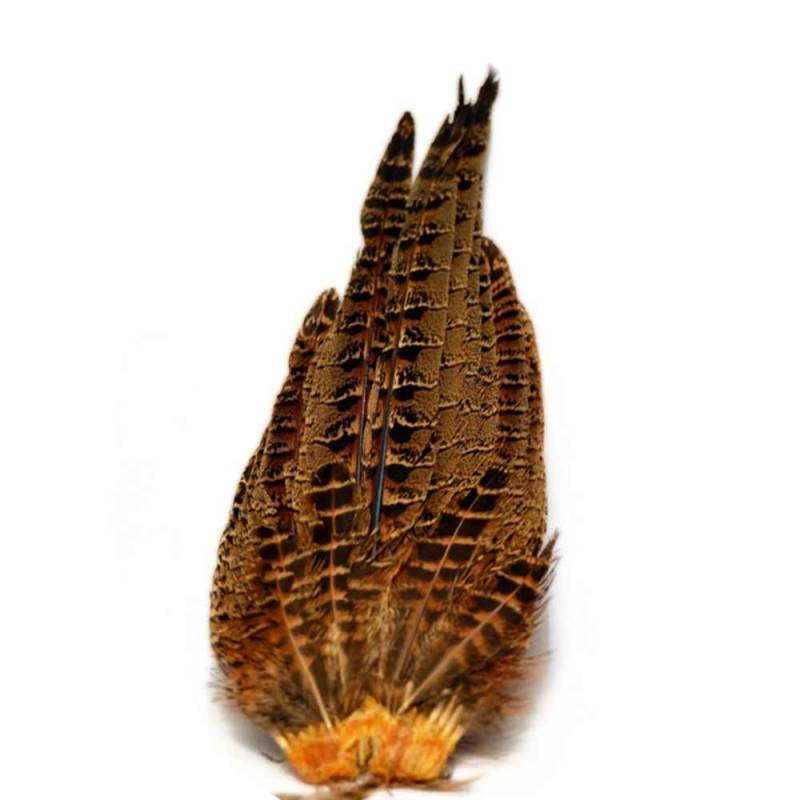 M. COLA DE FAISAN HEMBRA BAETIS PLUMAS Y CDC