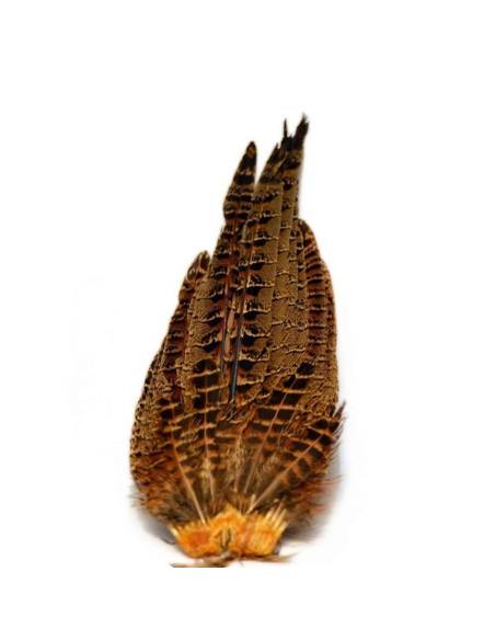 M. COLA DE FAISAN HEMBRA BAETIS PLUMAS Y CDC