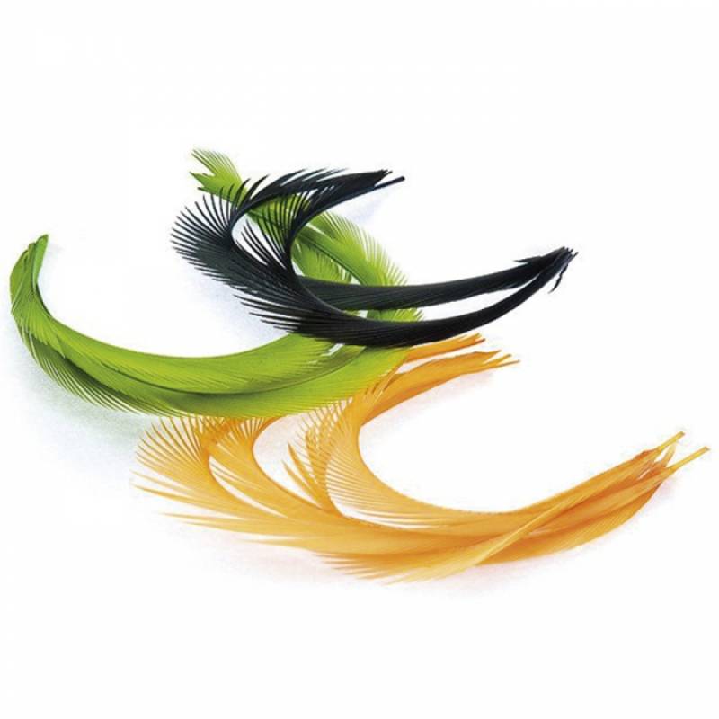 PLUMA OCA STRIPPED BIOTS