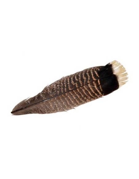MQT2 TURKEY TAIL (1 PLUMA)