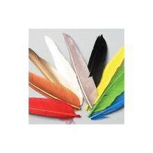 PLUMAS DE PATO TEÑIDO (DUCK QUILL)