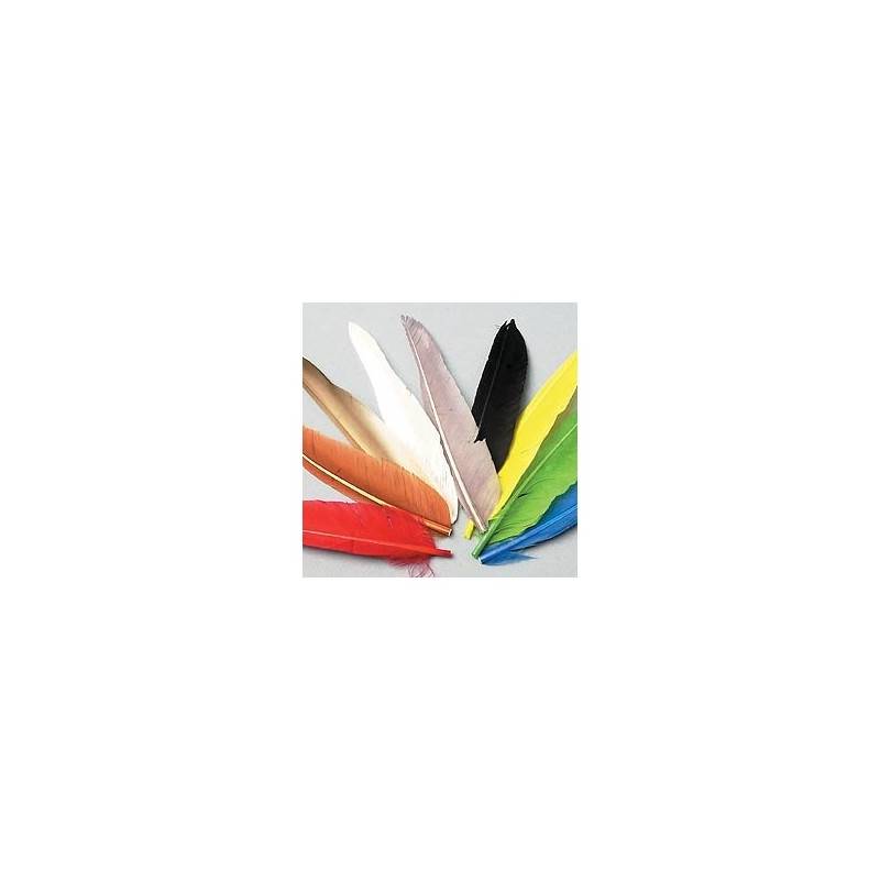 PLUMAS DE PATO TEÑIDO (DUCK QUILL)