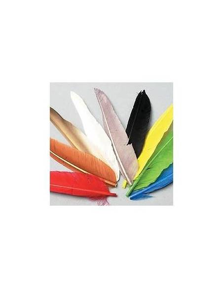 PLUMAS DE PATO TEÑIDO (DUCK QUILL)