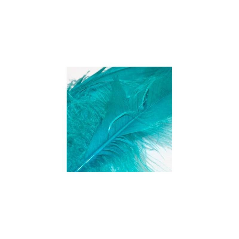 PLUMAS GOOSE QUILL
