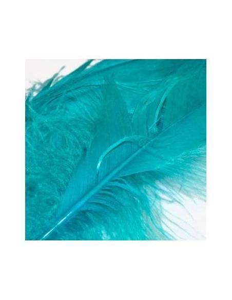 PLUMAS GOOSE QUILL