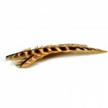 TURKEY QUILL (BIOTS)