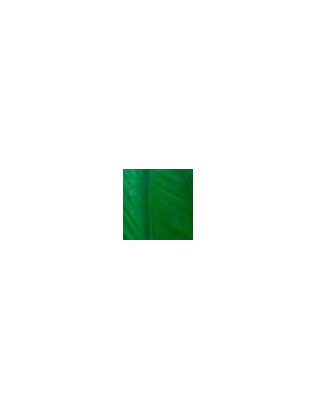 GREEN DRAKE
