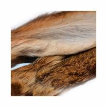 OREJAS DE LIEBRE 2