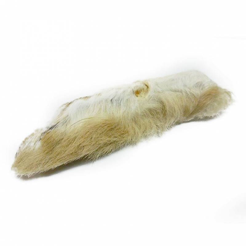 PATA DE LIEBRE ARTICA