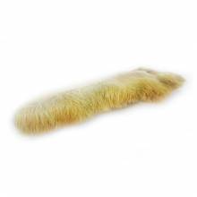 PATA DE LIEBRE ARTICA