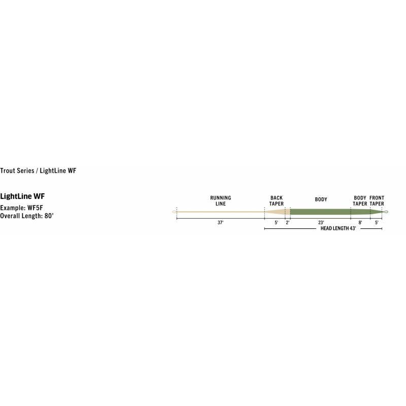 LINEA RIO LIGHT LINE WF PREMIER RIO LINEAS