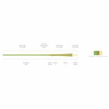 Línea 3M SCIENTIFIC ANGLERS Amplitude MPX * 3M SCIENTIFIC ANGLERS LINEAS 2
