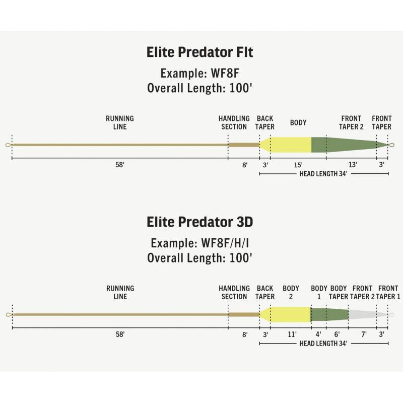 Línea RIO Predator Elite RIO LINEAS
