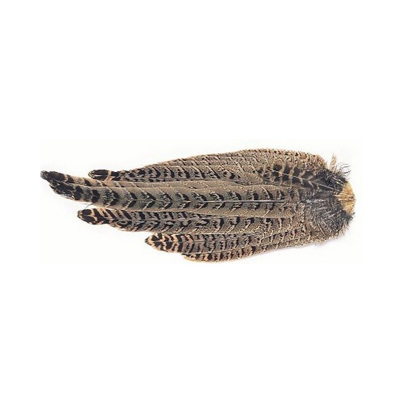 COLA FAISÁN HEMBRA CASTOR PLUMAS Y CDC