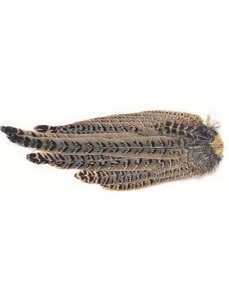 COLA FAISÁN HEMBRA CASTOR PLUMAS Y CDC