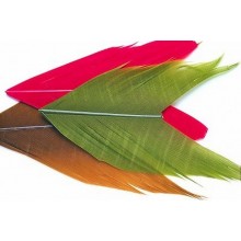 Comprar Condor en nuestra Tienda Online de Pesca a Mosca | Mosca y Linea