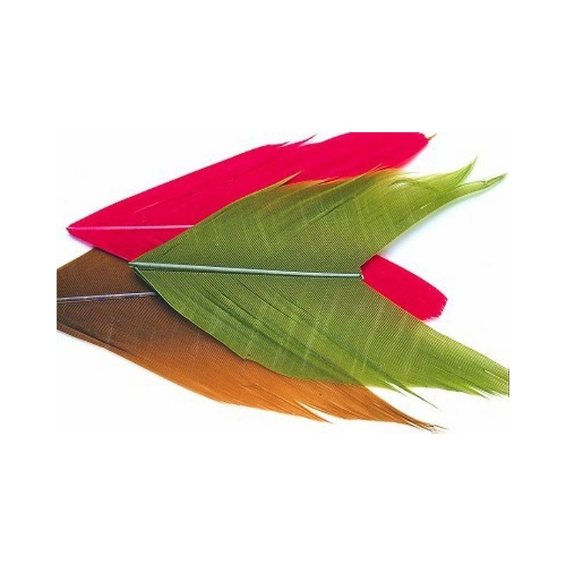 Comprar Condor en nuestra Tienda Online de Pesca a Mosca | Mosca y Linea