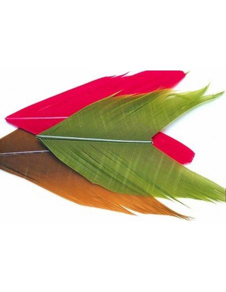 Comprar Condor en nuestra Tienda Online de Pesca a Mosca | Mosca y Linea