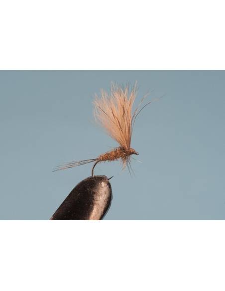 Comprar H19 en nuestra Tienda Online de Pesca a Mosca | Mosca y Linea