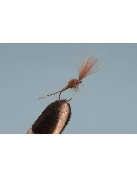 Comprar H22 en nuestra Tienda Online de Pesca a Mosca | Mosca y Linea